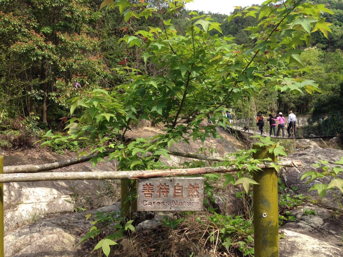 河源萬(wàn)綠谷.jpg