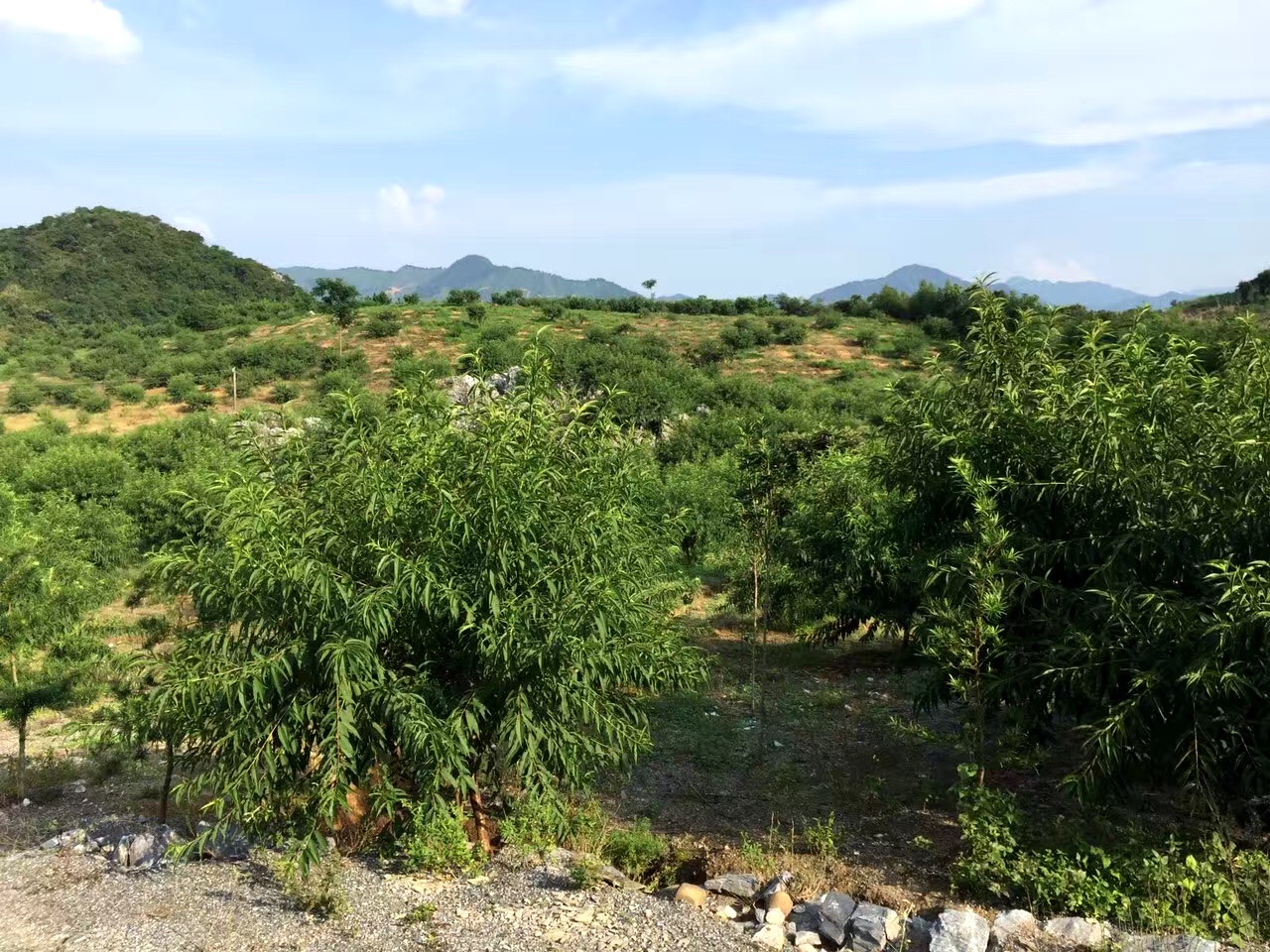 韶關(guān)01.jpg